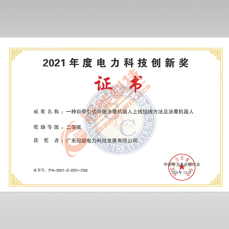 2021年度电力科技创新奖