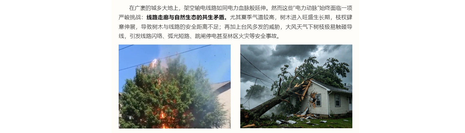 产品推荐 | 树障带电清除机器人